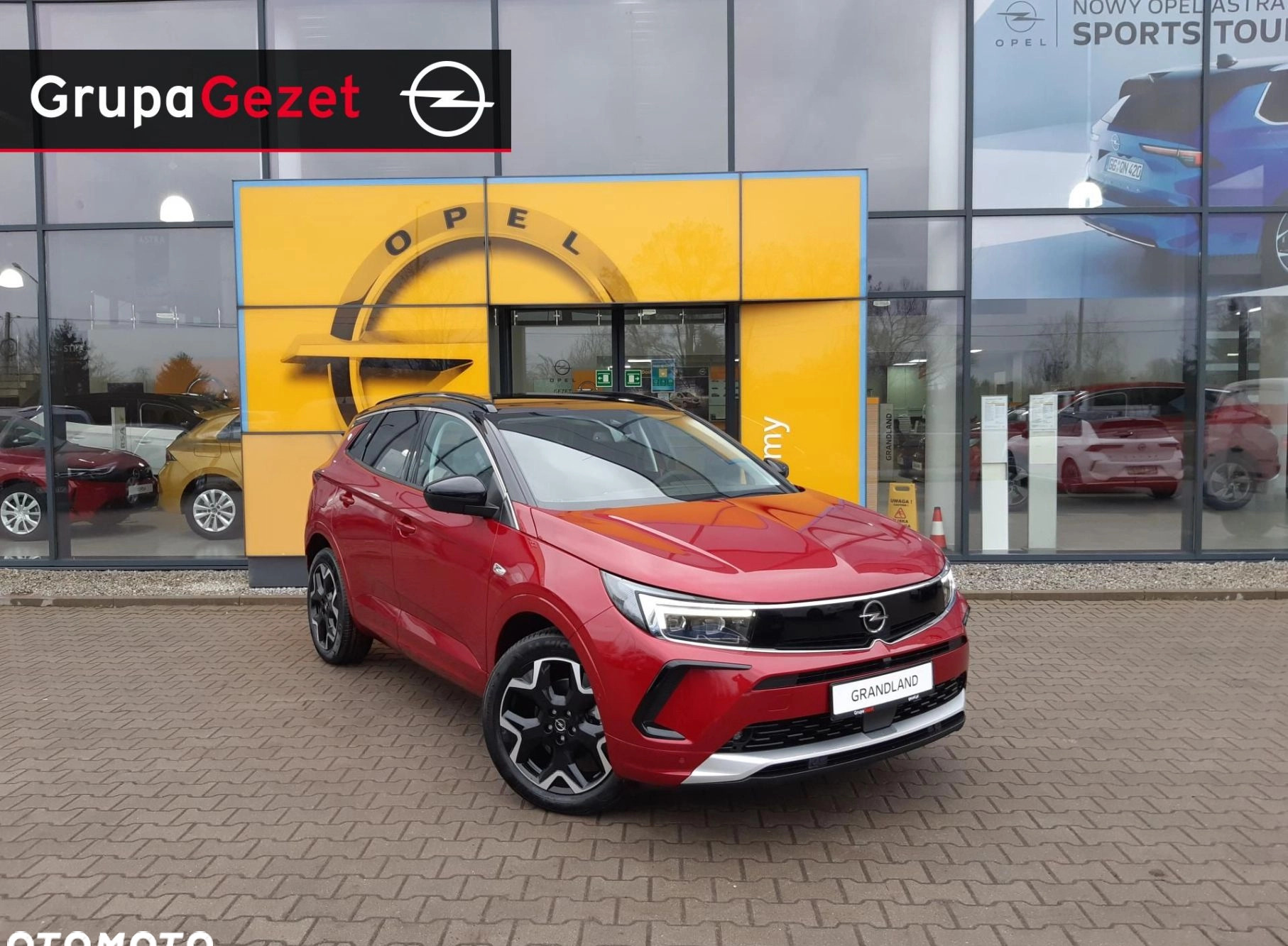 Opel Grandland cena 142990 przebieg: 5, rok produkcji 2024 z Białobrzegi małe 106